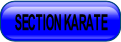 SECTION KARATE.